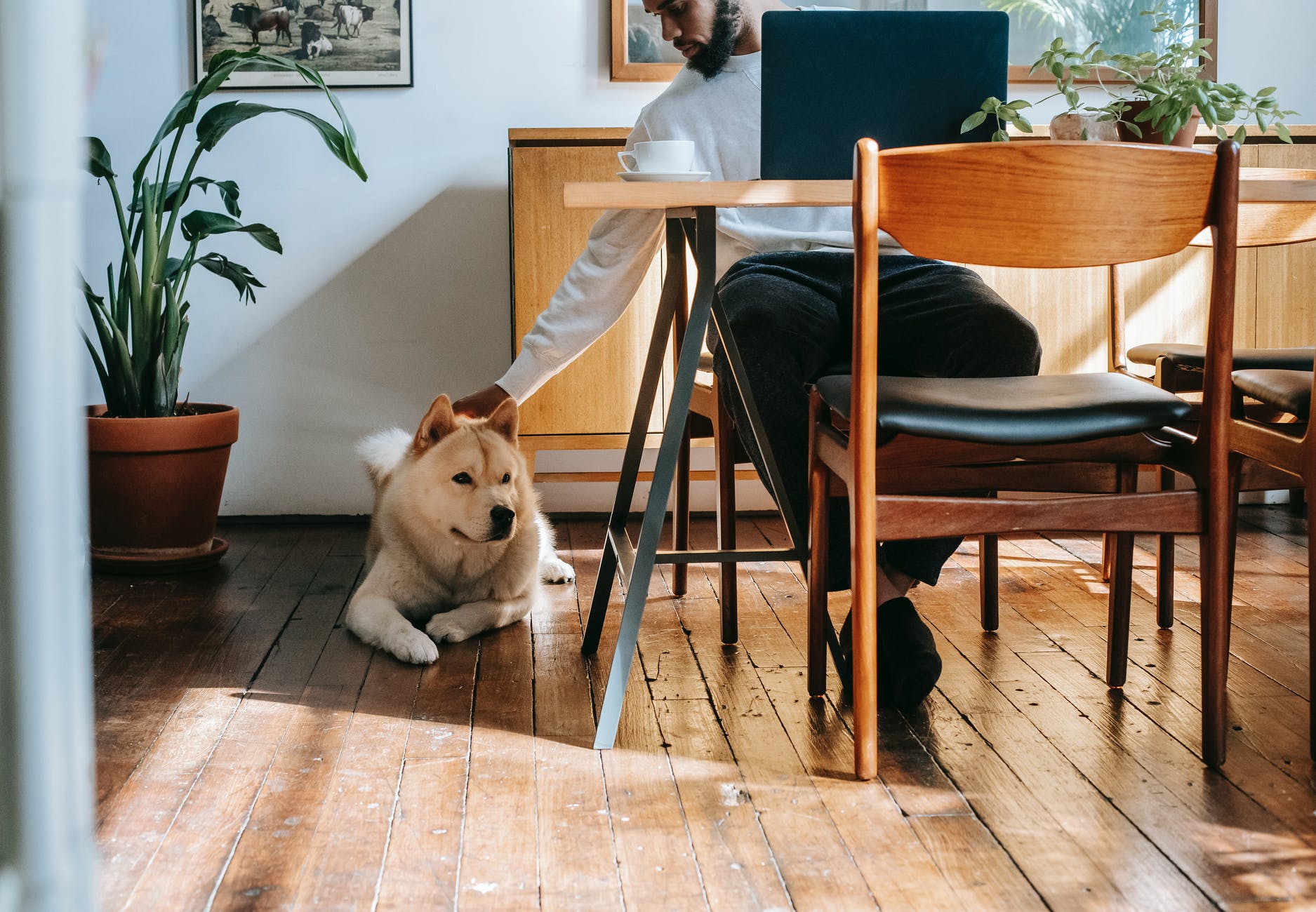 crop black man at table caressing dog